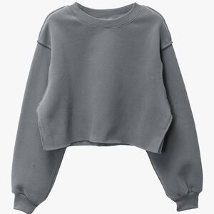 Gray Cropped Sweatshirt